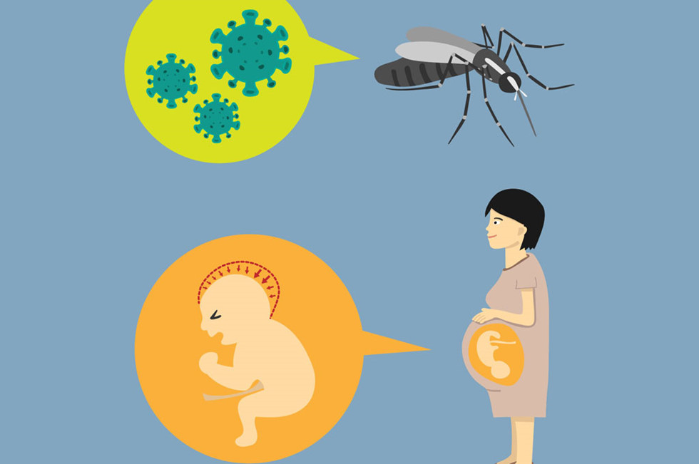 Các căn bệnh do muỗi gây ra và cách phòng chống