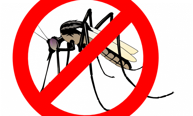 Cửa lưới chống muỗi giải pháp ngăn ngừa bệnh tật hiệu quả