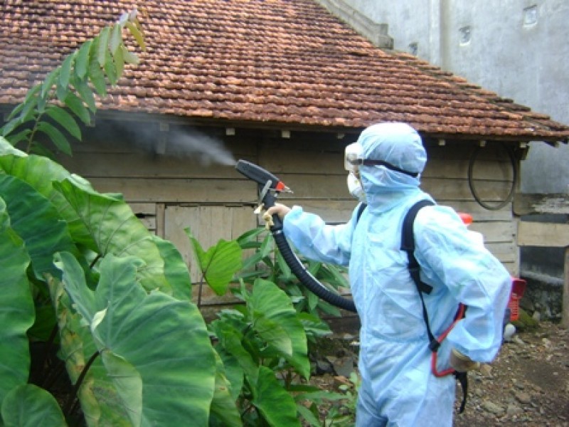 Phòng bệnh sốt xuất huyết an toàn với cửa lưới chống muỗi