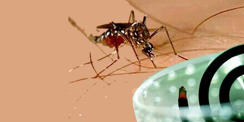 Tác hại từ sử dụng những biện pháp chống muỗi tạm thời