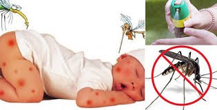 Tác hại từ sử dụng những biện pháp chống muỗi tạm thời
