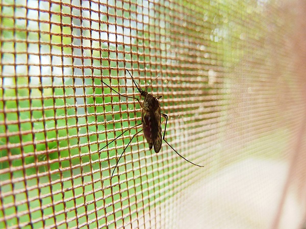 Hướng dẫn lắp đặt cửa lưới chống muỗi tự cuốn nhanh chóng và hiệu quả