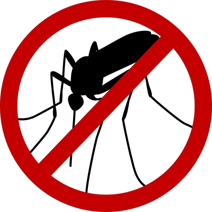 6 giải pháp ngăn ngừa côn trùng cho gia đình bạn