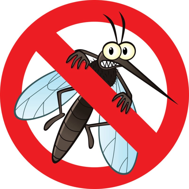 7 mẹo nhỏ để ngăn chặn muỗi