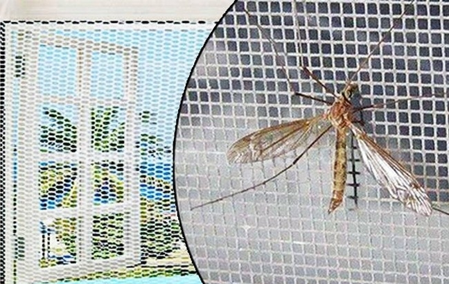 Các phương thức chống muỗi