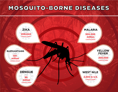 Một số căn bệnh nguy hiểm do muỗi gây ra