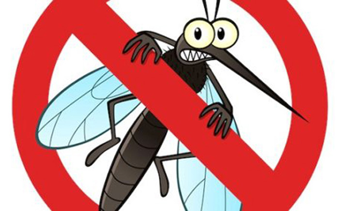 Những cách chống muỗi thông dụng nhất