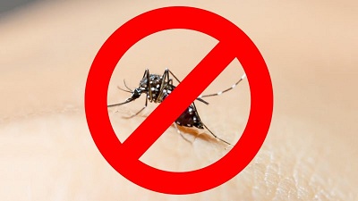 Phòng bệnh là cách chống muỗi bằng cửa lưới chống muỗi
