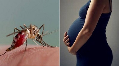 Vì sao phụ nữ mang thai dễ bị muỗi đốt hơn người bình thường?