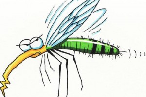 Mùa hè của muỗi và dịch bệnh