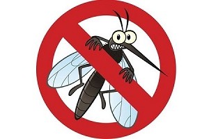 Tác hại từ những sản phẩm chống muỗi giá rẻ không rõ nguồn gốc