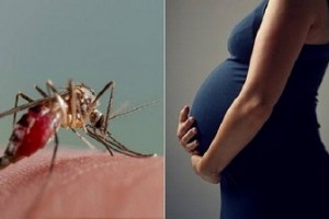 Vì sao phụ nữ mang thai dễ bị muỗi đốt hơn người bình thường?